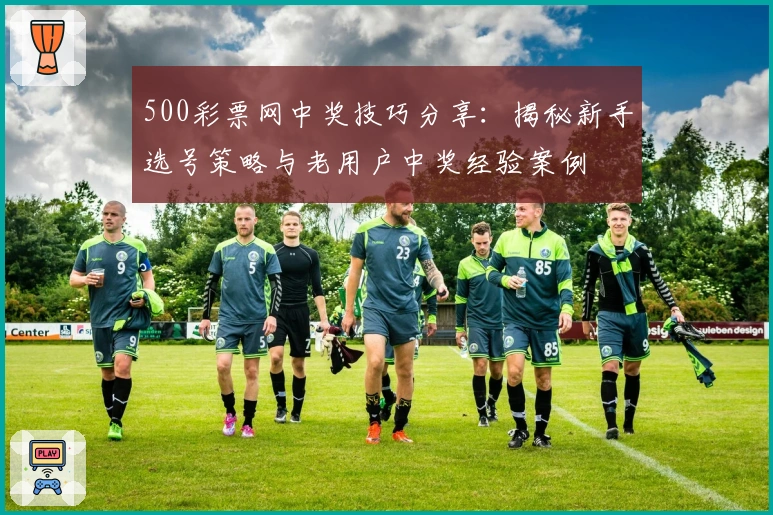 500彩票网中奖技巧分享：揭秘新手选号策略与老用户中奖经验案例